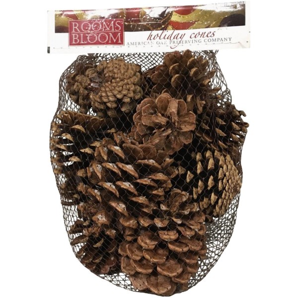 Rooms in Bloom Cinnamon Scented Assorted Pinecones - LD SALE